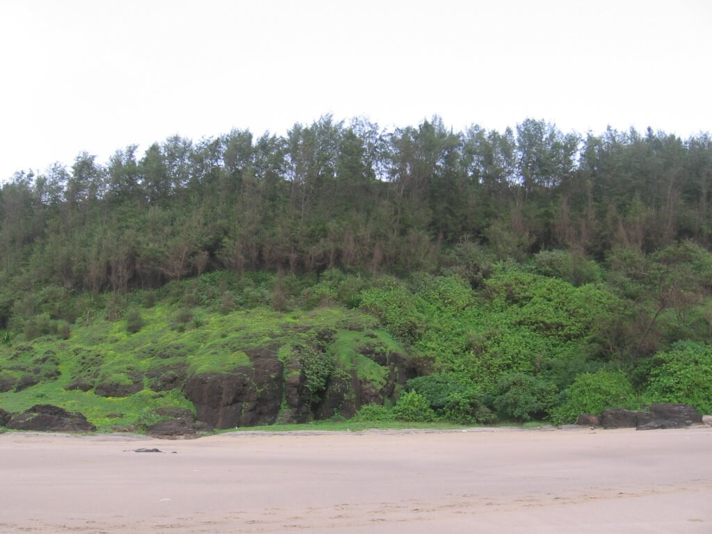 ganpatipule-beach